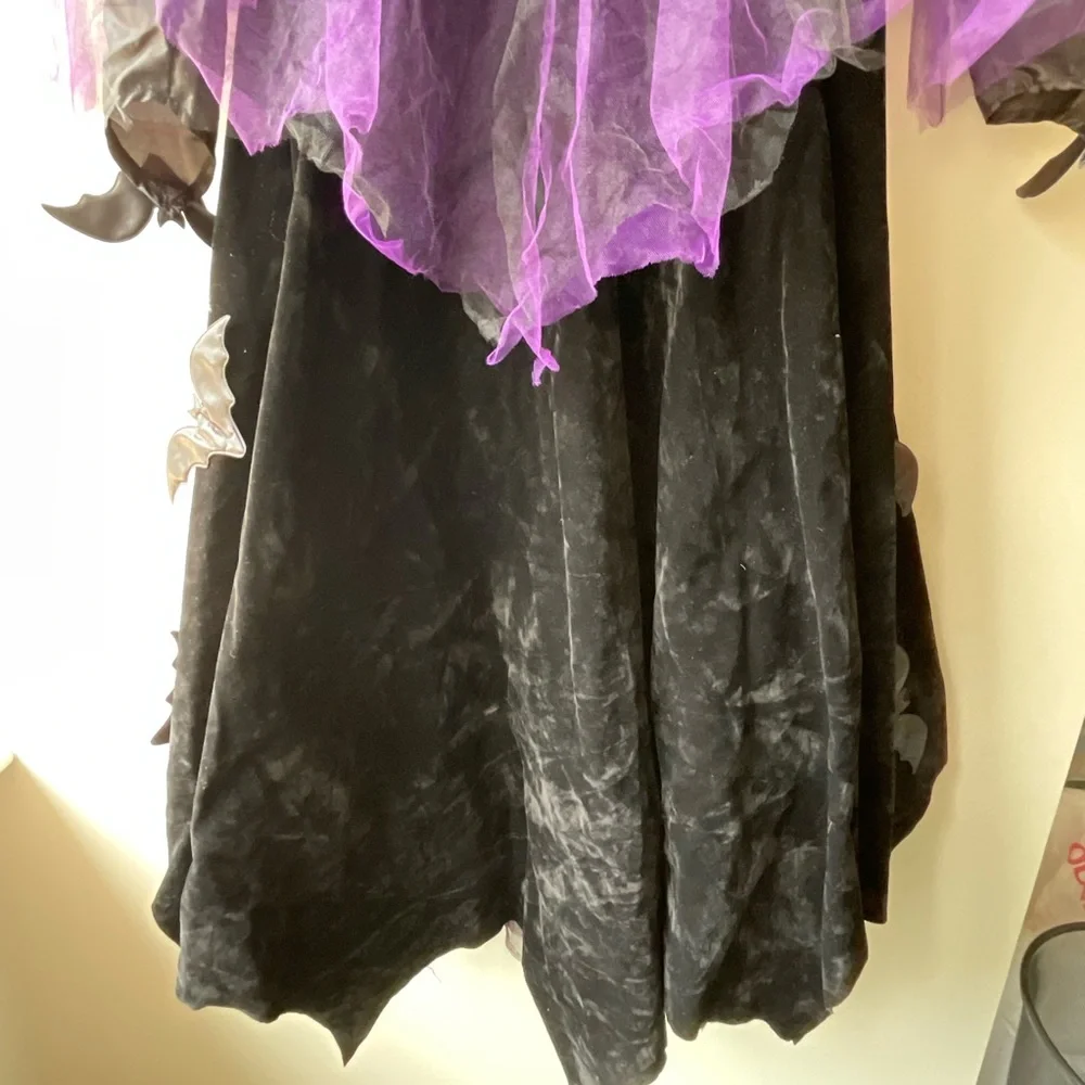 Wishcraft Enchanting Queen of Bats Costume